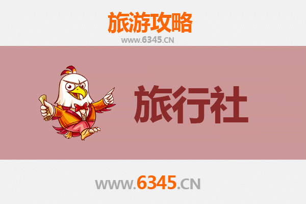 澄迈加乐镇本地旅行社推荐 | 深度探索海南乡村风情